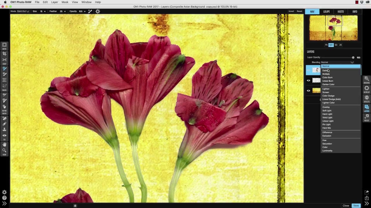 Spring Into Summer &ndash; Week 13 with Doug Landreth of Photomorphis