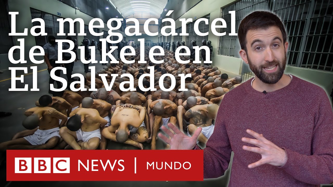Cómo es la polémica 