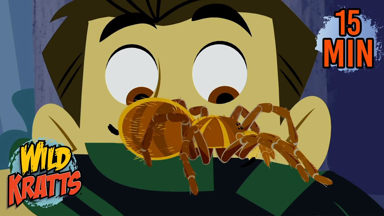 Spooky Spiders | Tarantulas, Orb-weaver Spiders & More | Halloween | Animals for Kids | Wild Kratts