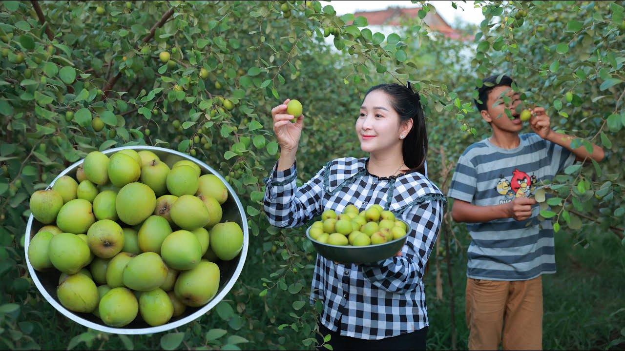 I've never seen fresh Jujube like this! | Do you have jujube at home? Big Jujube fruit in my country