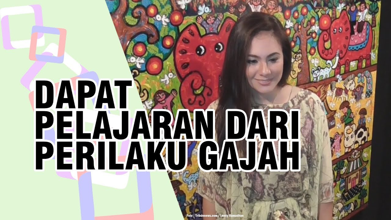 Ini yang Dipelajari Wulan Guritno dari Perilaku Gajah