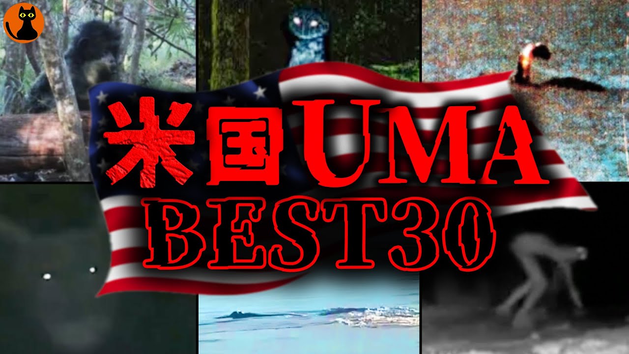 【総集編44分】米国でカメラが捉えたUMAの数々...アメリカのUMA未確認生物映像BEST30選