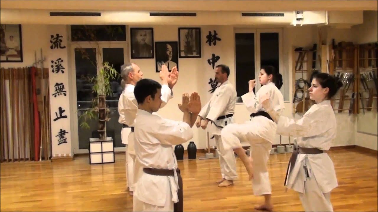 Shorin-Ryu Seibukan Karate - Germany