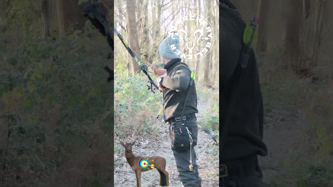 A Wildcrete 3D fallow deer Target    kill shot at 32 yards, from recurve  