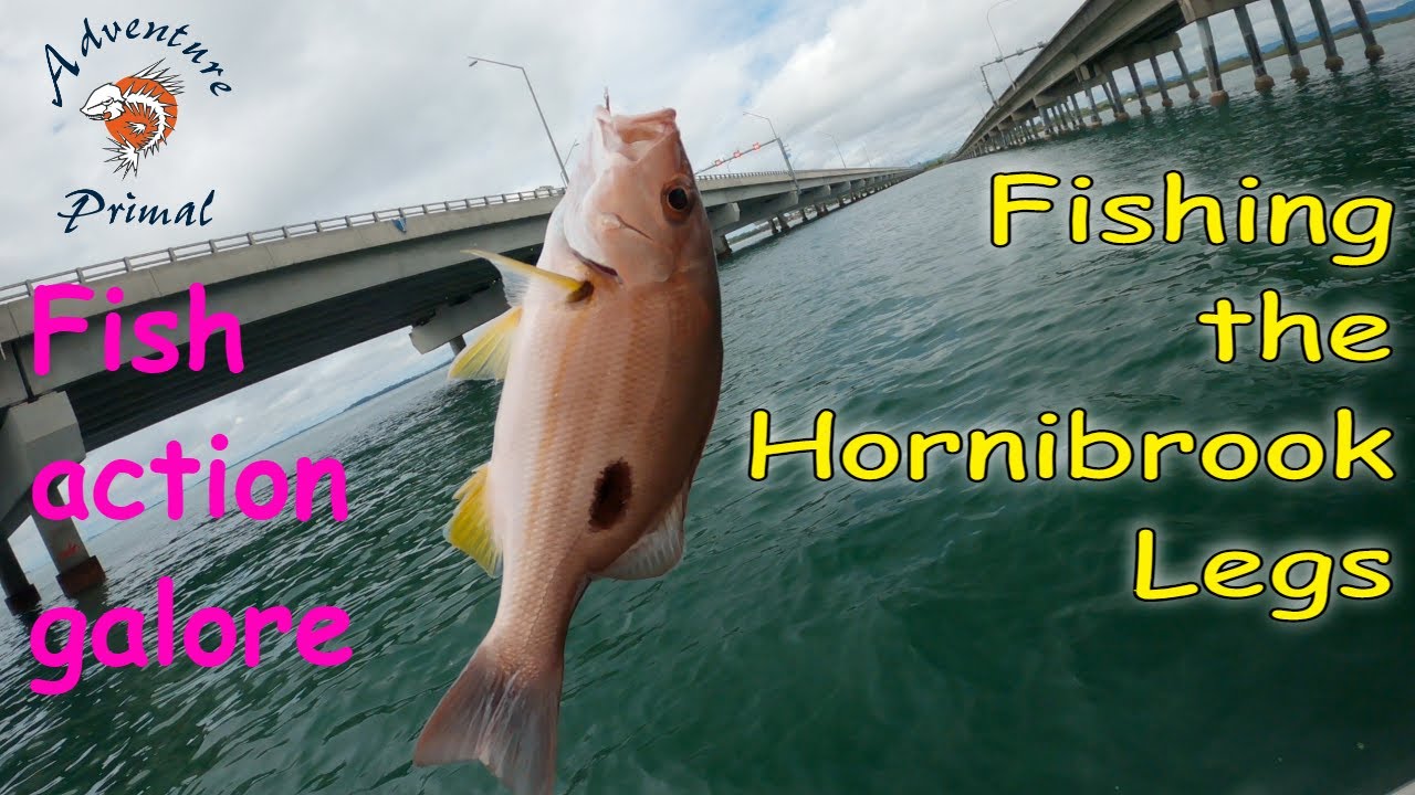 Fishing the Hornibrook Legs - Pine River Fishing