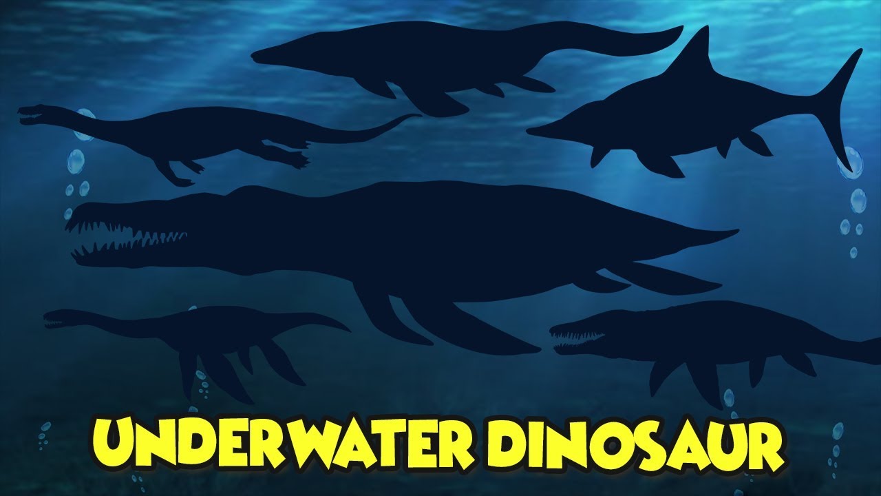 Dinosaur Puzzle game|sea dinosaur name|Nothosaurus,Kronosaurus,Tylosaurus,Plesiosaurus|공룡퍼즐게임|바다공룡이름