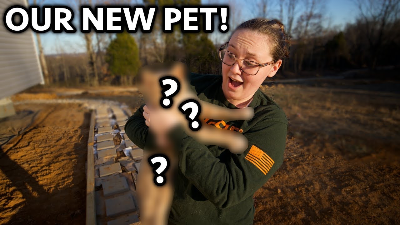 Someone ABANDONED This Animal on Our Land... Meet Our NEW PET!!