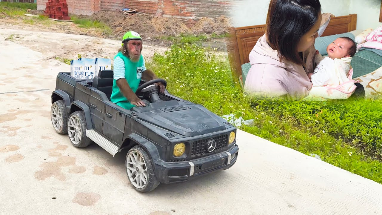 Too Cute!CUTIS Drives a Supercar to Buy Milk for the Baby