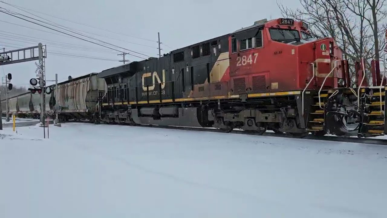 CN B731