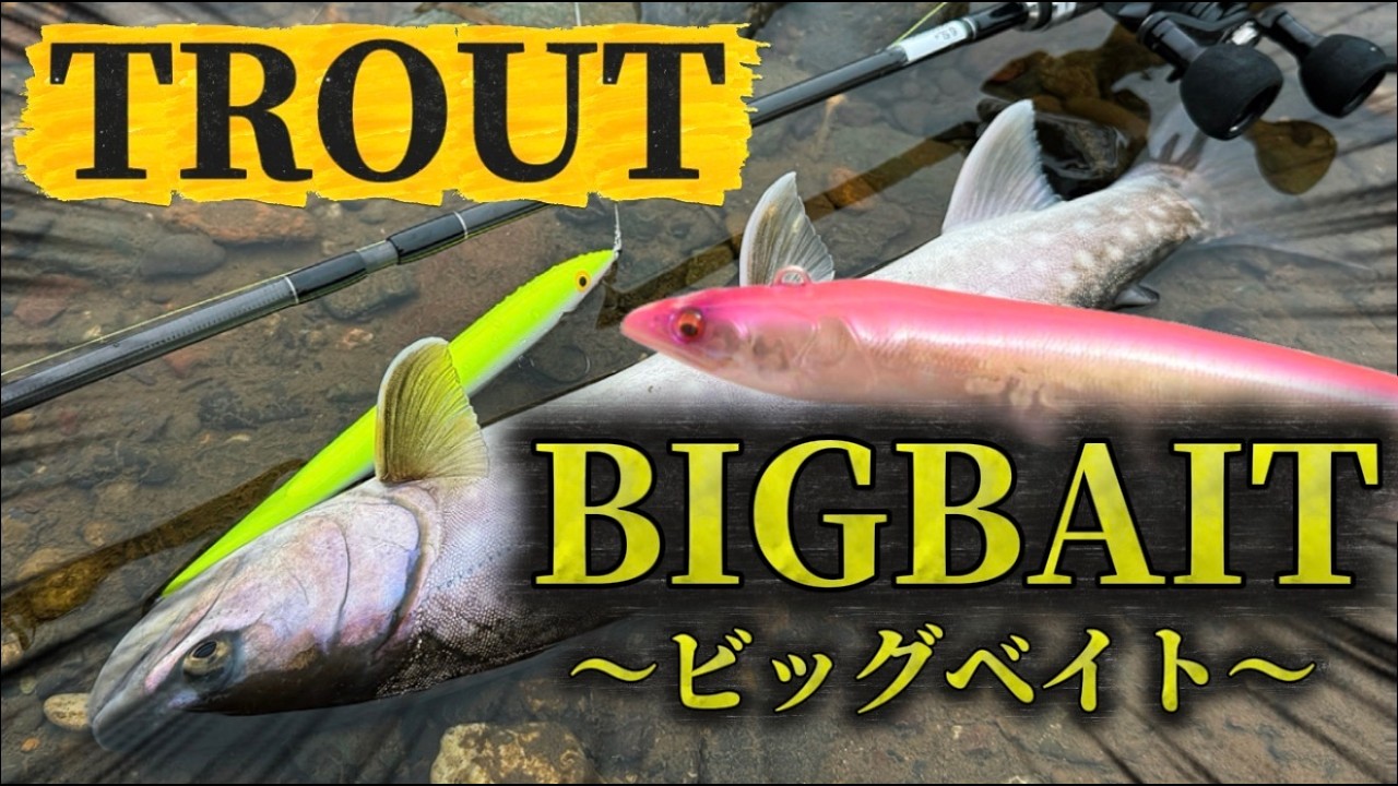アメマスをビッグベイトで狙ったら...想像以上の反応だった！