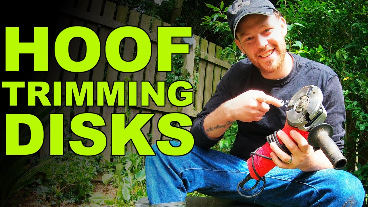 WHAT DISKS DO I USE?? | The Hoof GP
