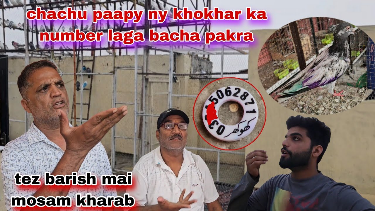 Chachu paapy ny khokhar ka number laga bacha pakar leya tez barish mai😅Ustad bila ka pegam 