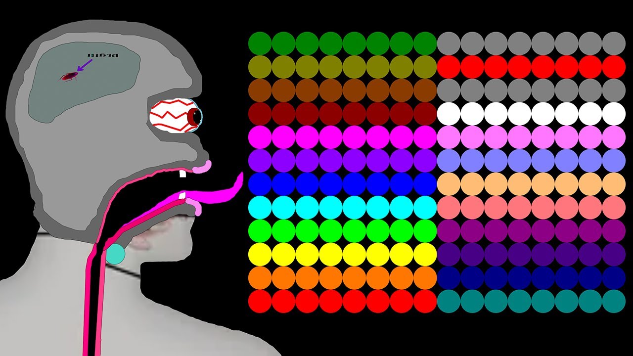 The Merry Christmas 30 Leg Eliminations Marble Race in Algodoo