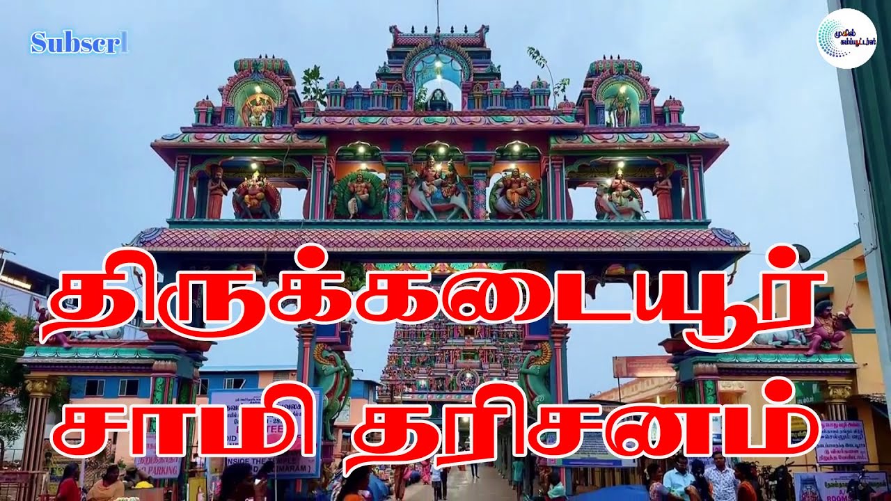 திருக்கடையூர்  சாமி தரிசனம் 18.01.2026
