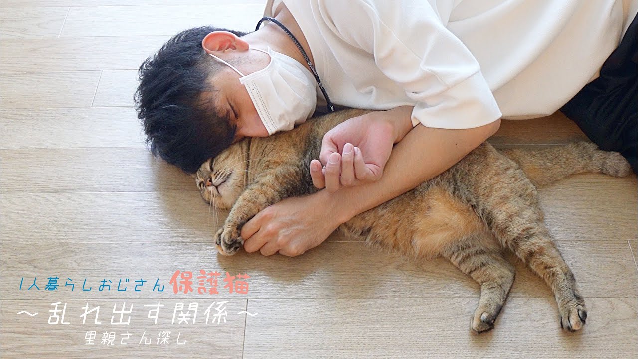いじめられっ子の半身麻痺の猫ちゃん預かる事にしましたが先住猫の様子が…｜１〜２日目【里親さん探し】