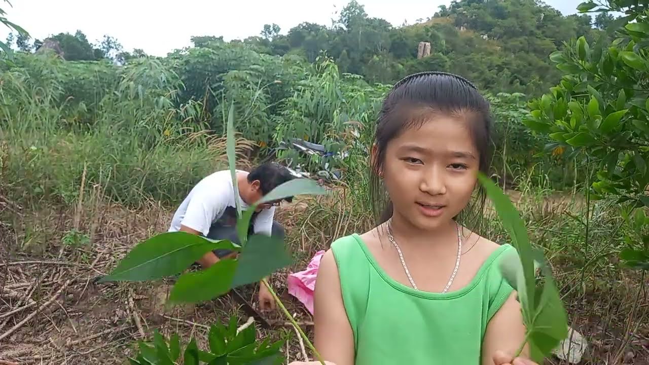472# Chín Trầu Lam Sơn. Vô rừng kiếm mì