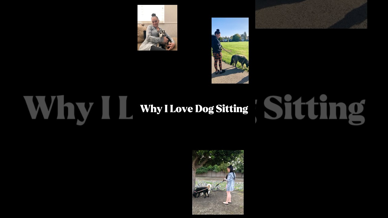 Must Love Dogs💯🐾 #dog #dogs #dogsitter #dogsitting #big #small #alldogs #mustlovedogs #rover #love