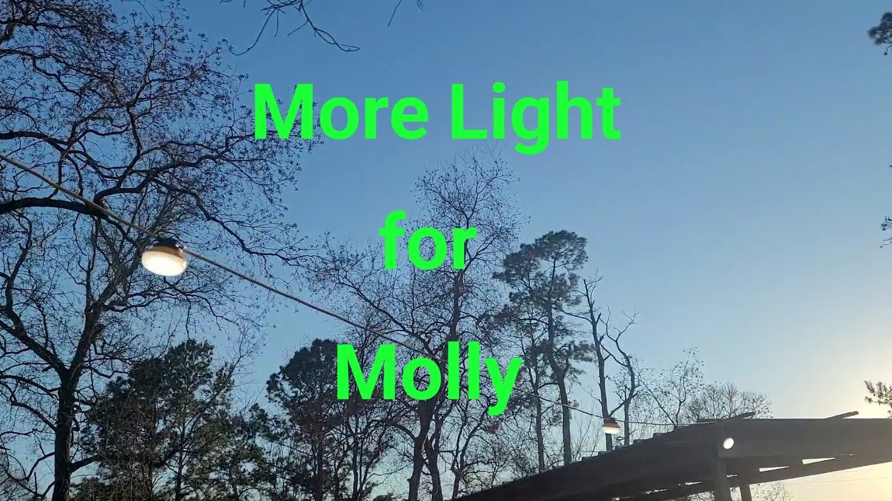 More Light for Molly 