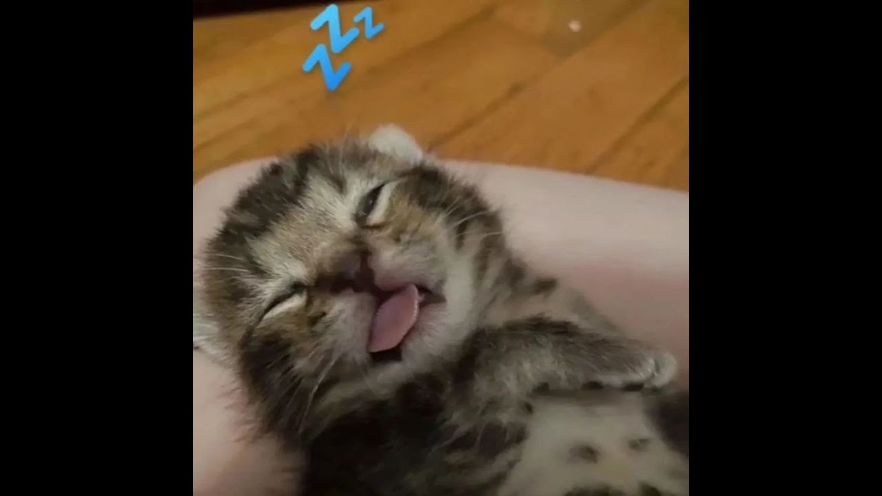 𝐰𝐡𝐨 𝐤𝐧𝐨𝐰𝐬.