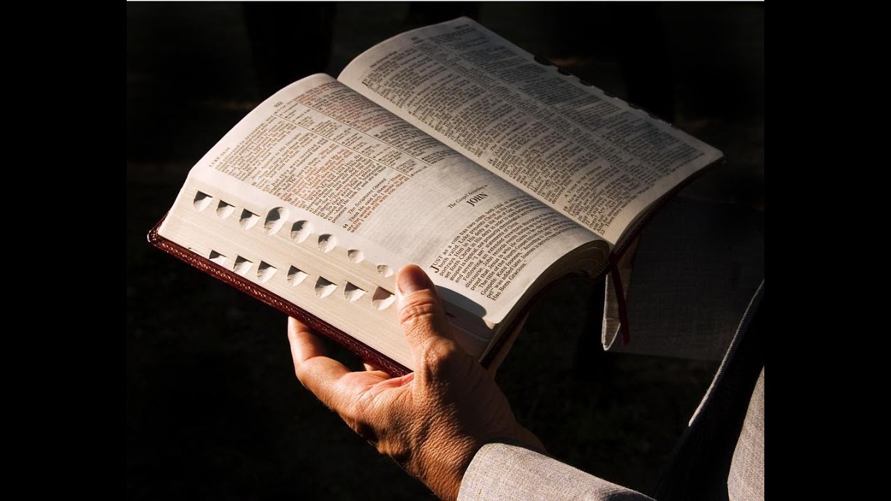 DEVOCIONAL - SALMOS 1 A 5 - LEITURA BÍBLICA DIÁRIA