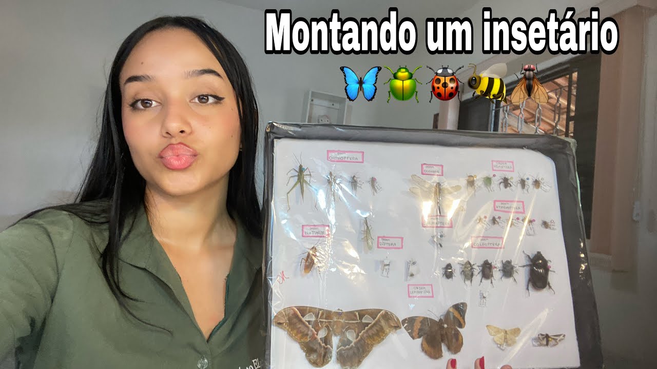 Montando um insetário agronômico 🐞🦋🪲🪰🐝