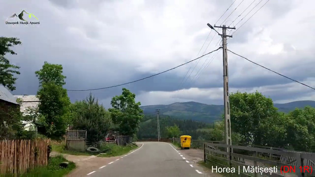 TransUrsoaia // iunie 2020