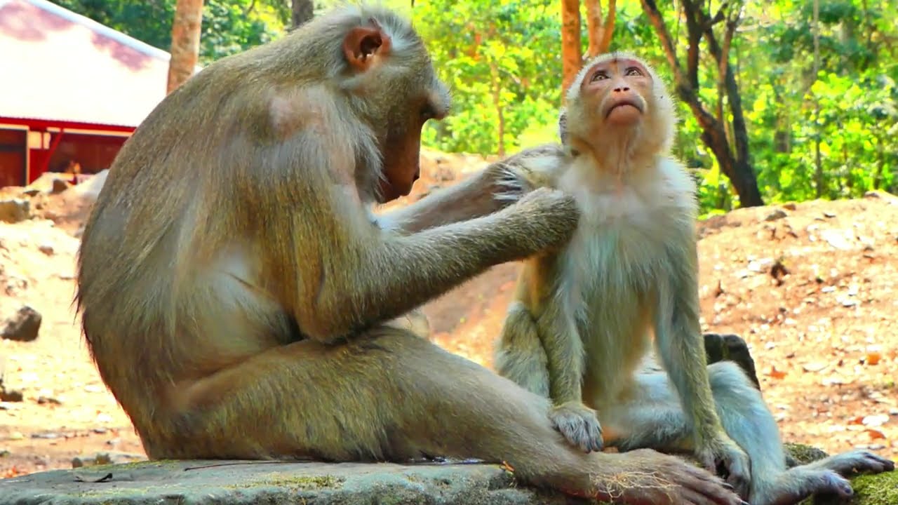 Really Got Shocking Heart...!