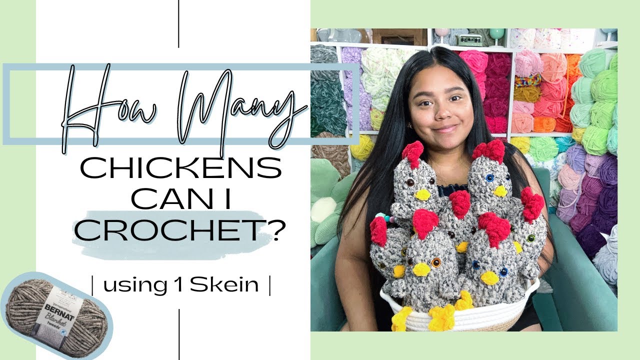How Many Chickens Can I Crochet with 1 Skein of Bernat Blanket Tweeds