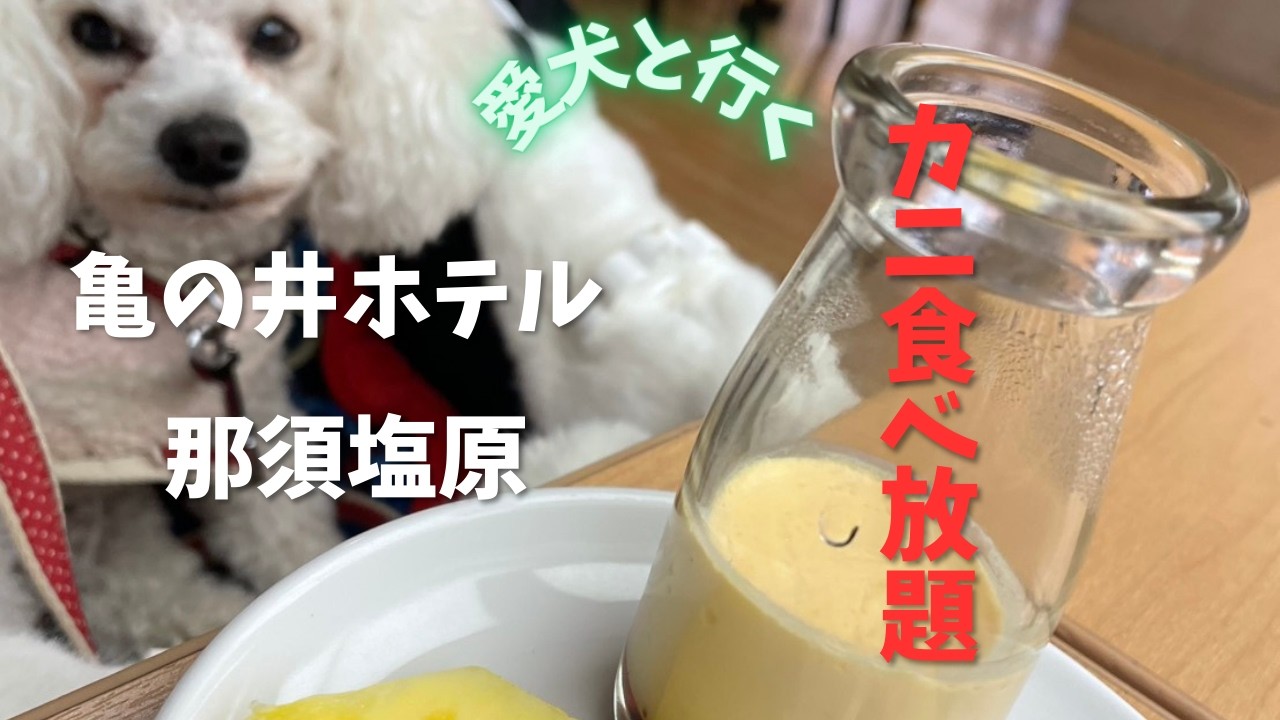 愛犬と行くわんわんパラダイスプレミア塩原