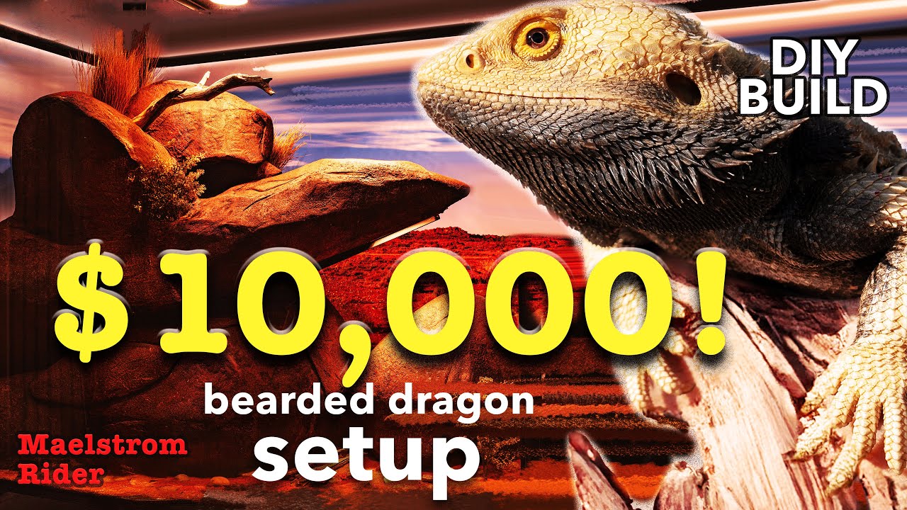 $10K Bearded Dragon Enclosure Build | PART 1: Outback Adventure + Ultimate Habitat Setup