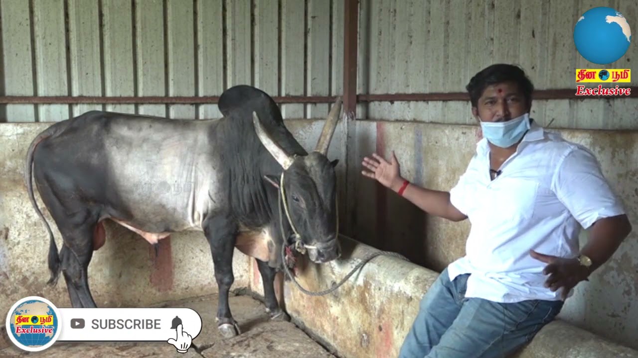 மதுரை முடக்கத்தான் மணி