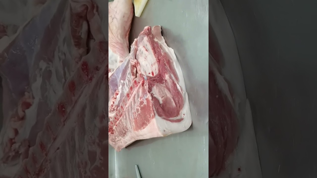 deboning swine part 2