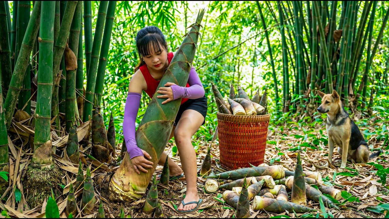 REWIND TIMELAPSE  : Harvesting 100kg of Bamboo Shoots in the Forest and Selling at Market