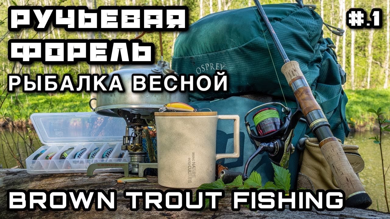 РУЧЬЕВАЯ ФОРЕЛЬ на СПИННИНГ Как поймать Секреты ловли - Рыбалка в Ленинградской области
