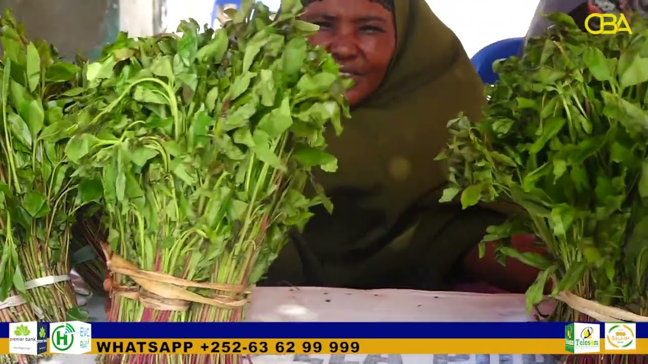 Ganacsatada&Dadweynaha  Muqdisho ayaa siyaabo kala duwan uga hadlay Duulimaadyada sidaa qaadka Kenya