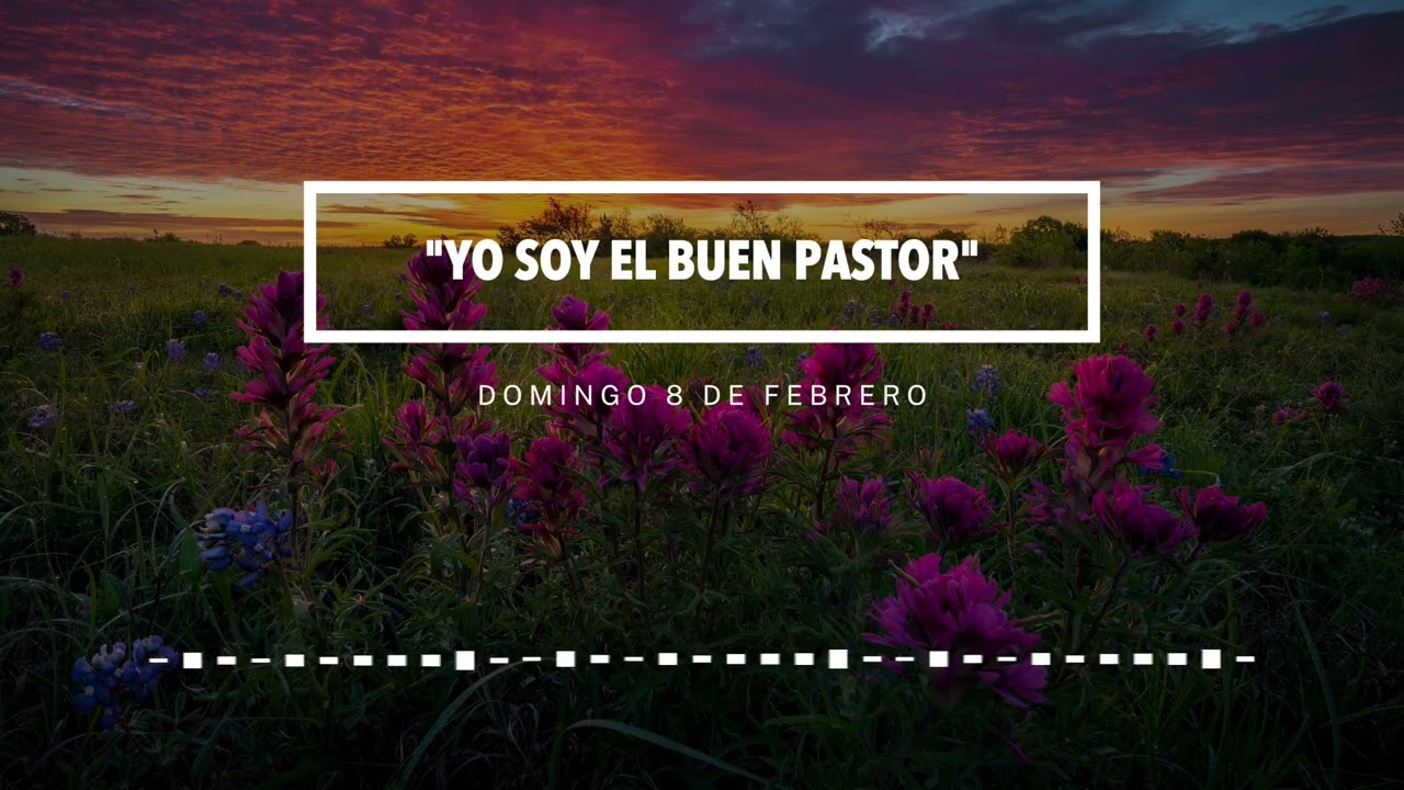 Domingo 8 de febrero: 