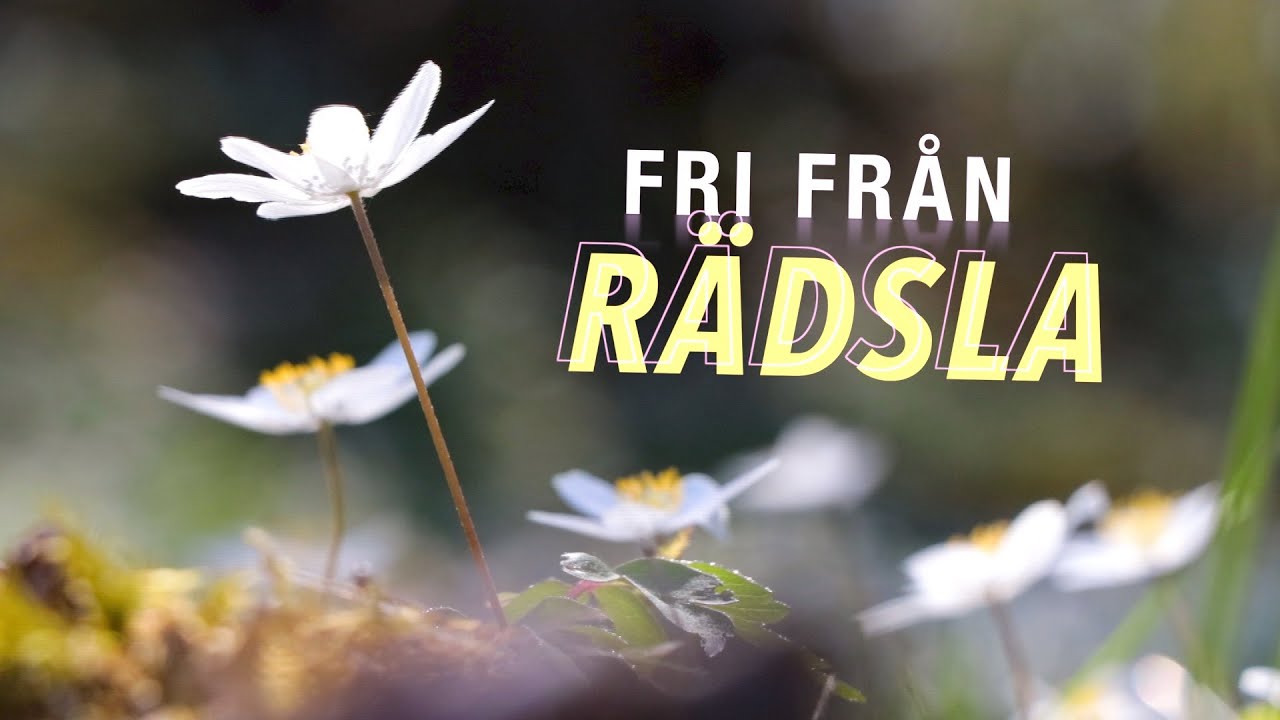 Guds ord till helande och befrielse - från fruktan