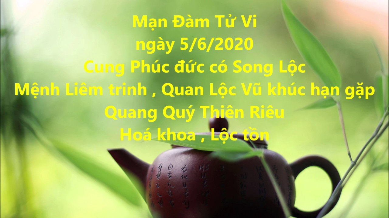 Cung Phúc đức có Song LộcMệnh Liêm trinh , Quan Lộc Vũ khúc hạn gặp Quang Quý Thiên Riêu