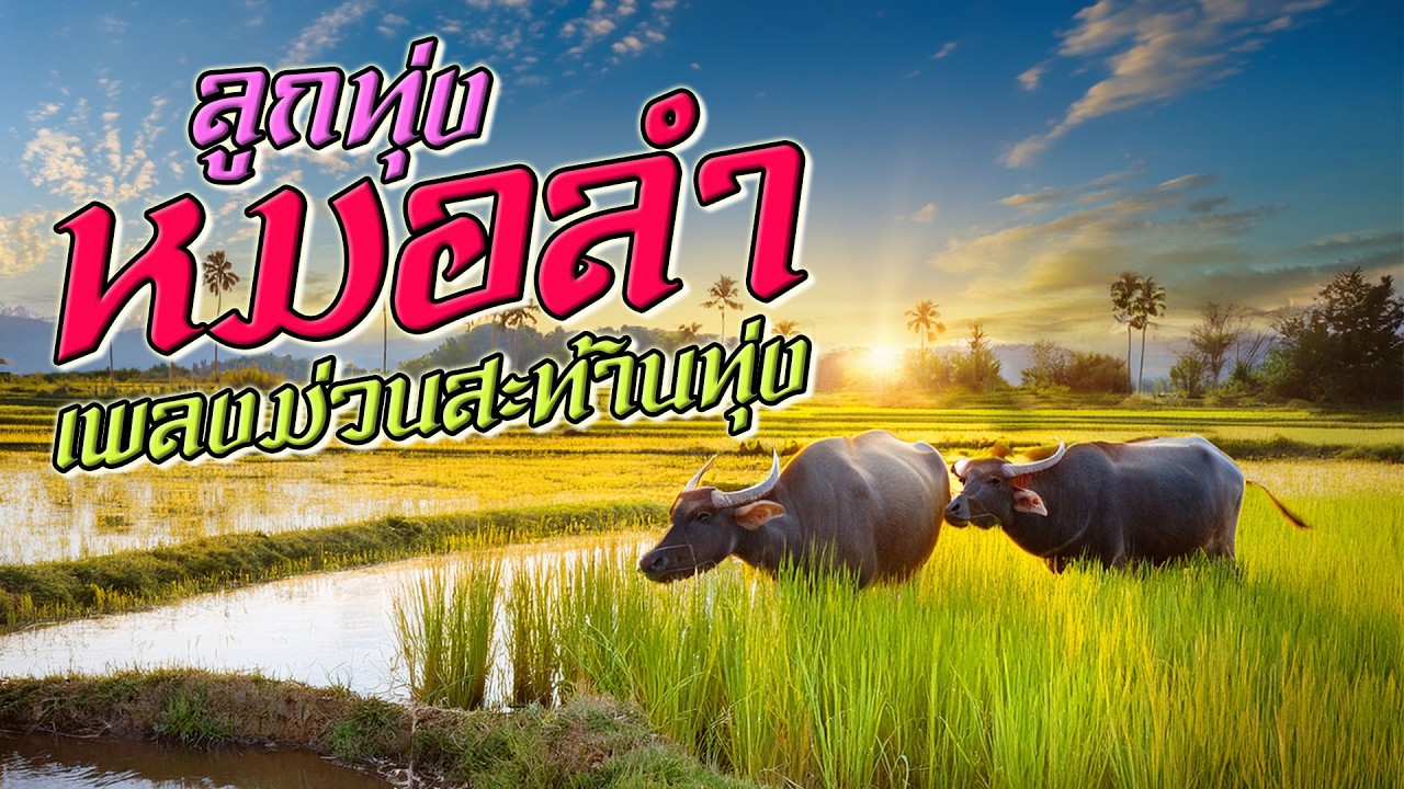 ลูกทุ่งหมอลำ เพลงม่วนสะท้านทุ่ง