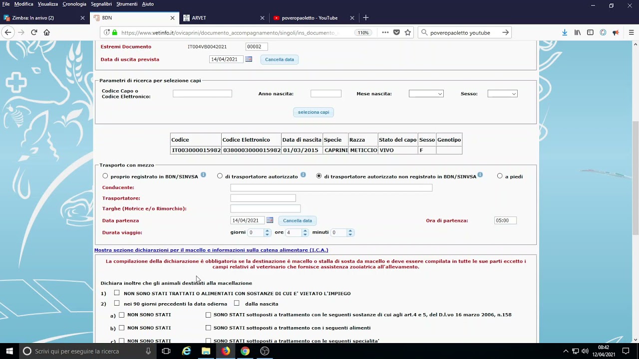 poveropaoletto BDN ovicaprini modello 4