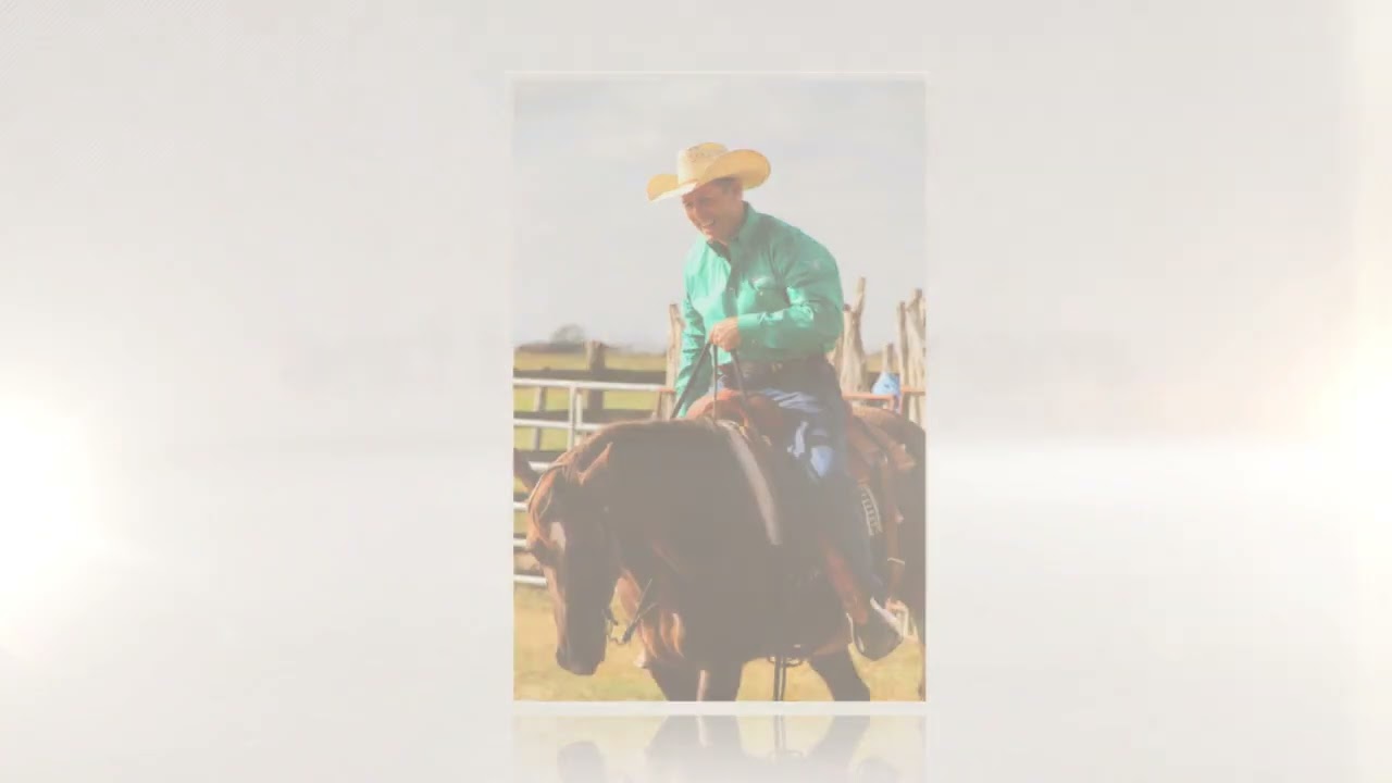 The Horse Is My Teacher Book Trailer