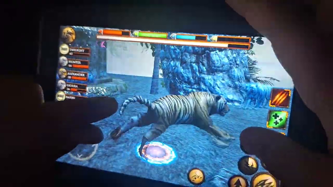 Adult Penguins Watch Ultimate Jungle Simulator in Afternoon!