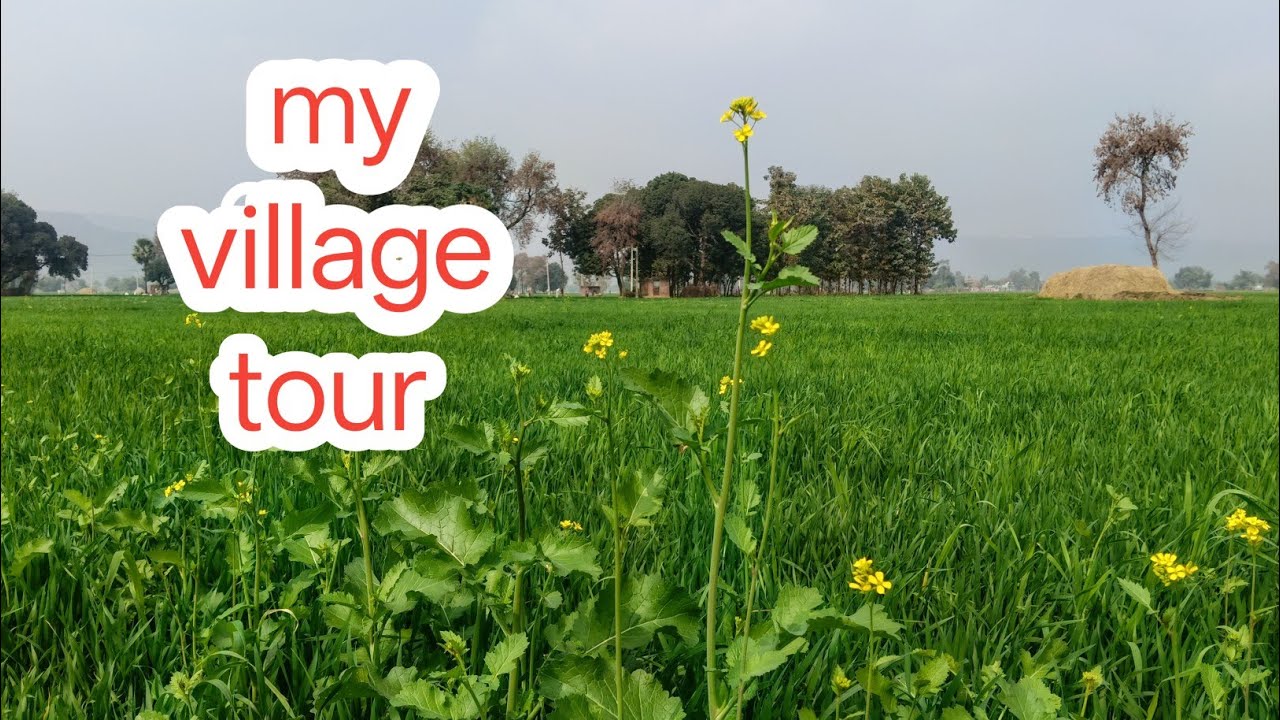 My village tour # biharivlog9241 