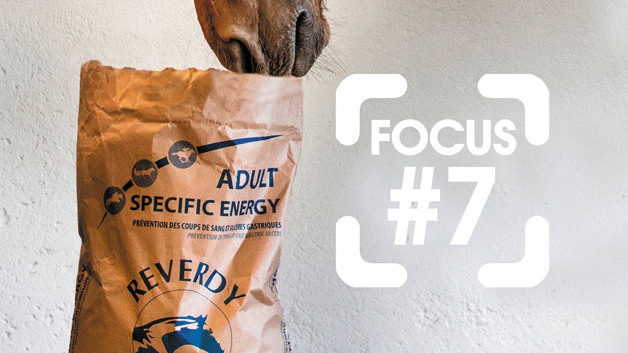 🧐 Focus produit #7 | Aliment Reverdy ADULT SPECIFIC ENERGY