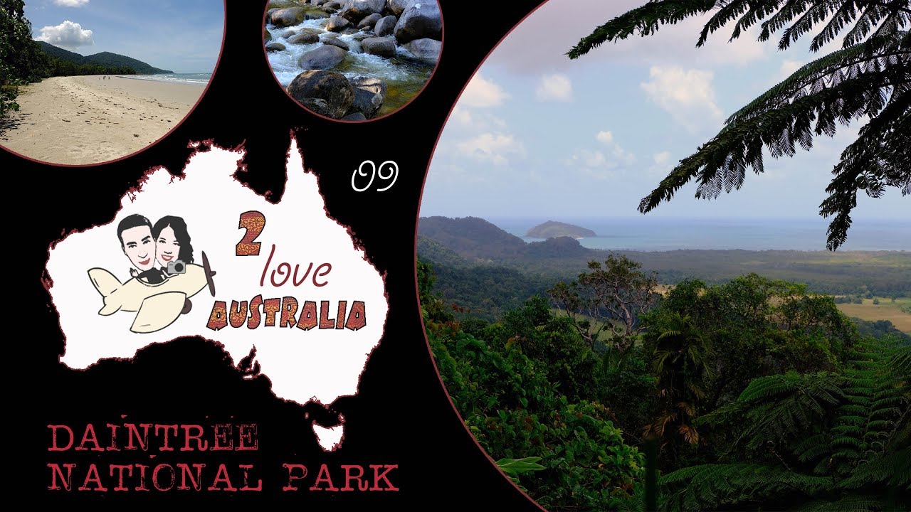 La FORESTA PLUVIALE di DAINTREE e Cape Tribulation #Australia2love.09 documentario di viaggio