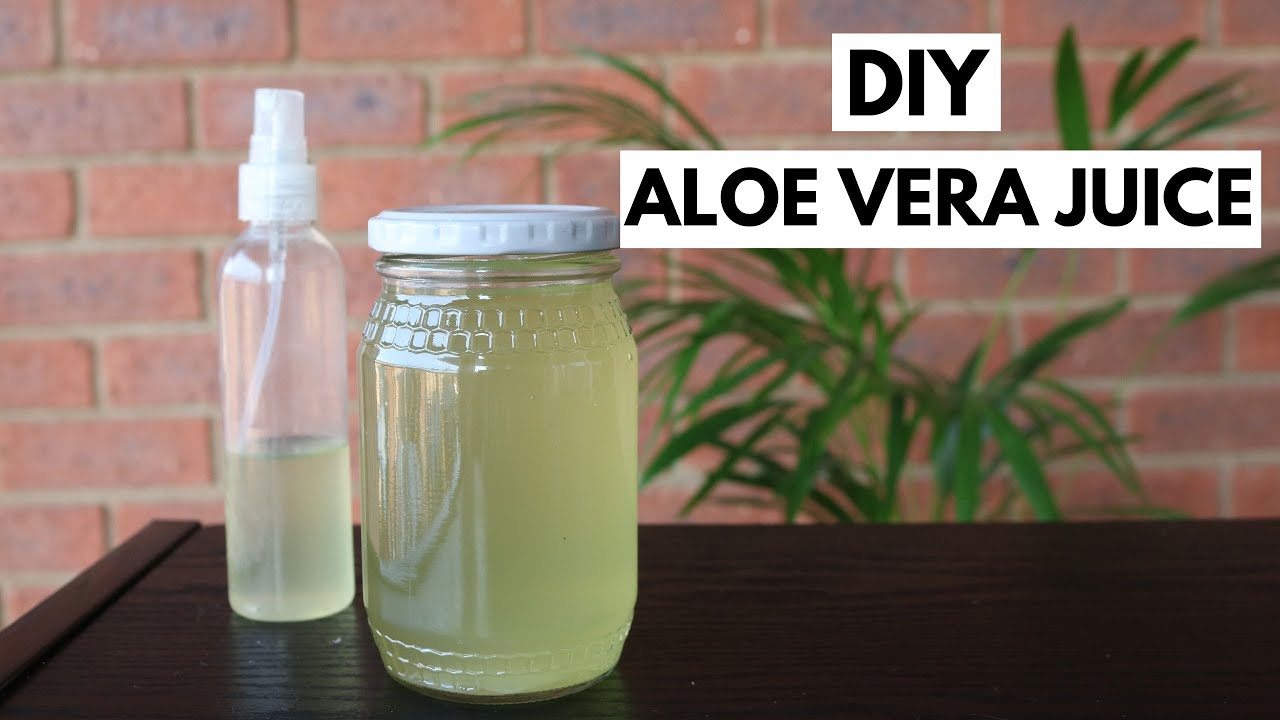 HOW TO MAKE ALOE VERA JUICE | DIY Aloe Vera Juice for Natural Hair