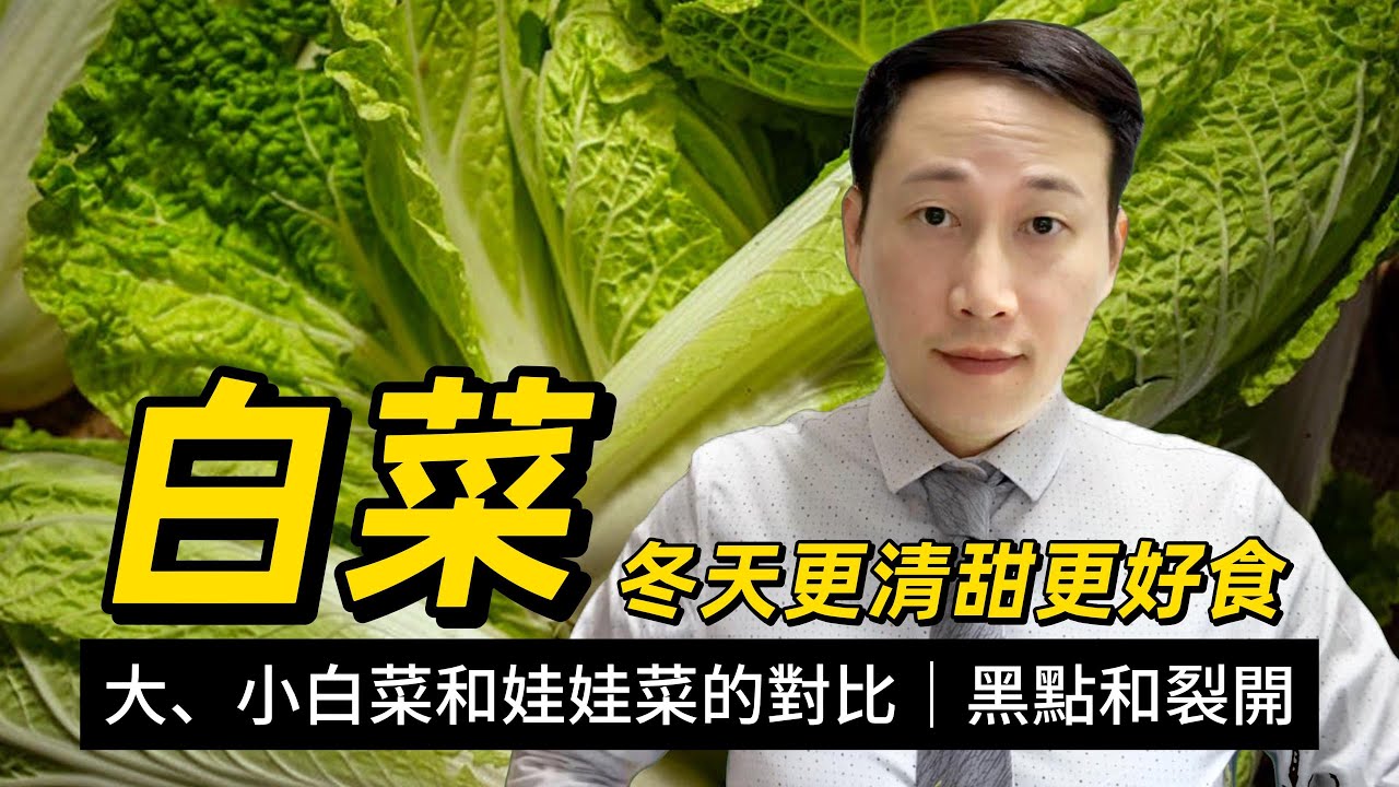 白菜，大白菜、小白菜和娃娃菜有何區別？白菜的鈣是否與牛奶一樣多？有黑點和裂开的白菜究竟還可不可以食？點解凍白菜更好食？