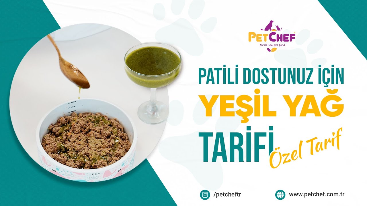 🐾 Rafet Şef’ten Patili Dostlara Yeşil Yağ Tarifi! 🍃