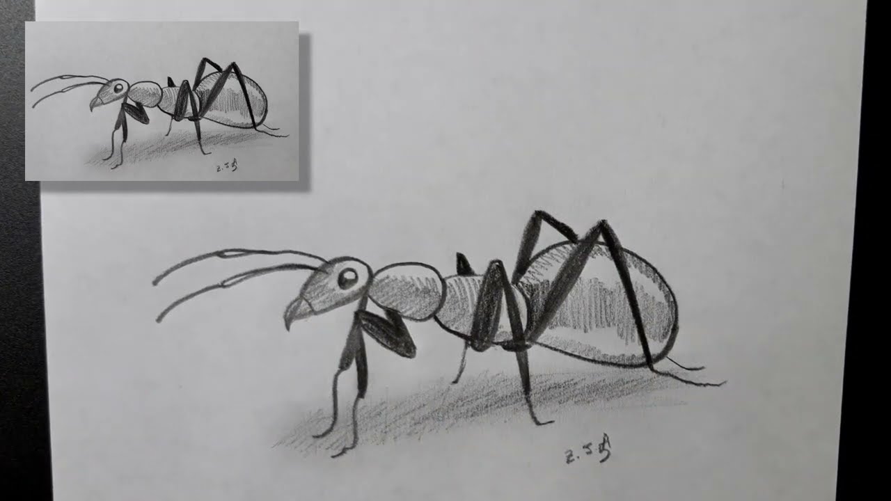 Como desenhar uma formiga