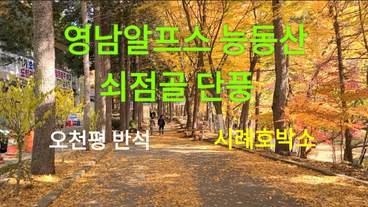 영남알프스 능동산 /쇠점골 단풍절정/오천평반석/시례호박소 단풍감상